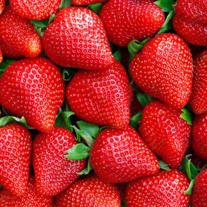 100% REAL WHEY ISOLATE STRAWBERRY