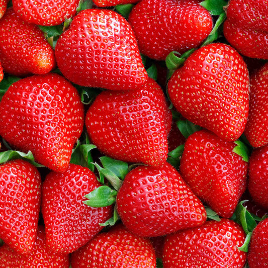 100% REAL WHEY ISOLATE STRAWBERRY